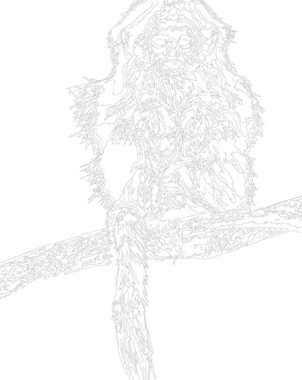 Картина по номерам «Китайская обезьянка» — картинка 3