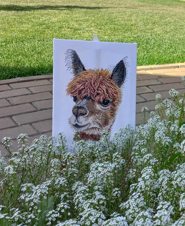 Набор для вышивания «Альпака» — картинка 4