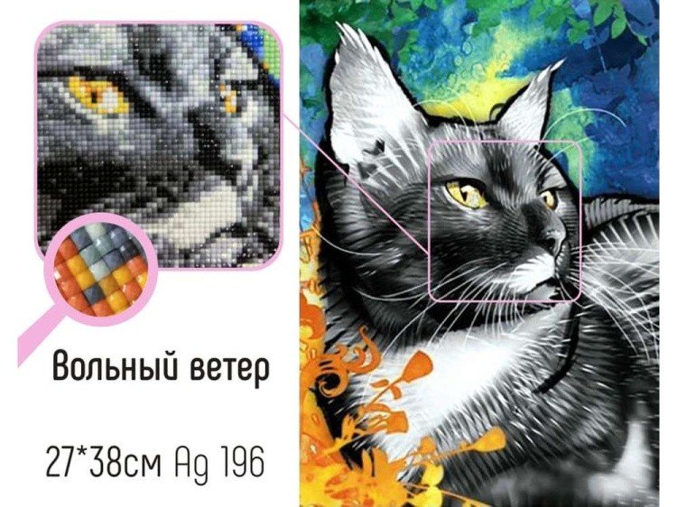 Алмазная вышивка «Вольный ветер» — картинка 2