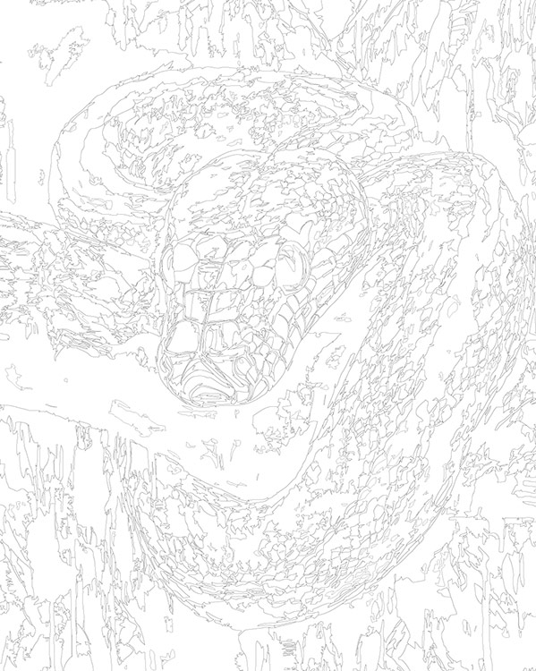 Картина по номерам «Зеленая змея в лесу, Новый год, животные» — картинка 3