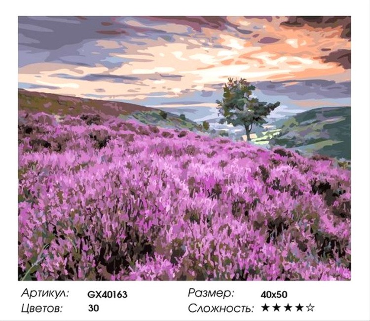 Картина по номерам «Розовое поле» — картинка 2
