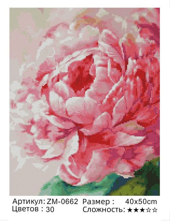 Алмазная вышивка «Пион» — картинка 2