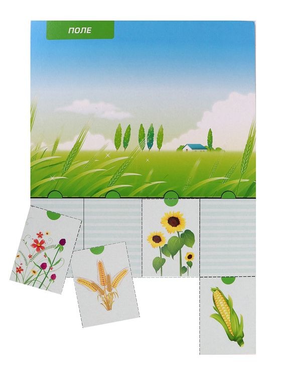 Первые уроки «Что где растет?» — картинка 6