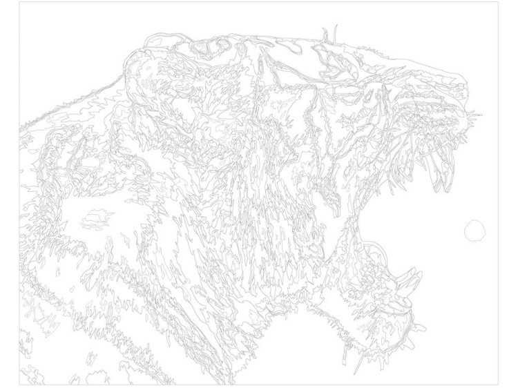 Картина по номерам «Белый тигр» — картинка 3