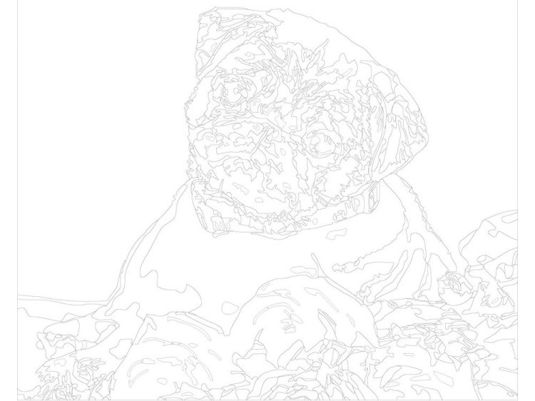 Картина по номерам «Мопс с букетом роз» — картинка 3