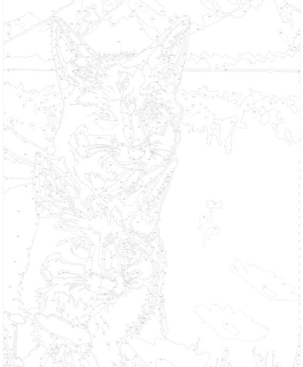 Картина по номерам «Две лисы в поле» — картинка 3