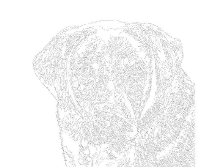 Картина по номерам «Лабрадор» — картинка 3