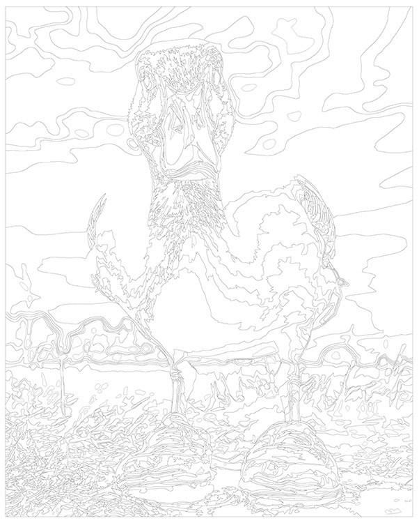 Картина по номерам «Гусь в ботинках стою и не шевелюсь» — картинка 3