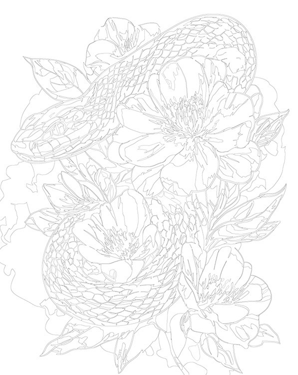 Картина по номерам «Зеленая змея в цветах, животные 40x50» — картинка 3