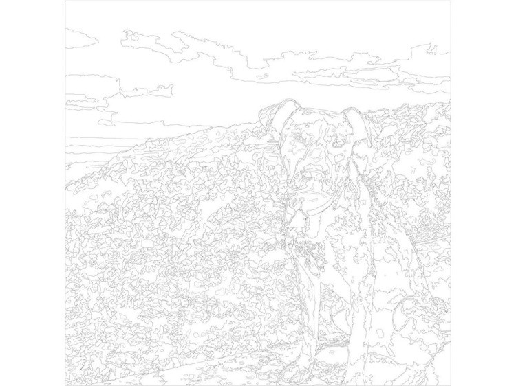 Картина по номерам «Питбуль» — картинка 3