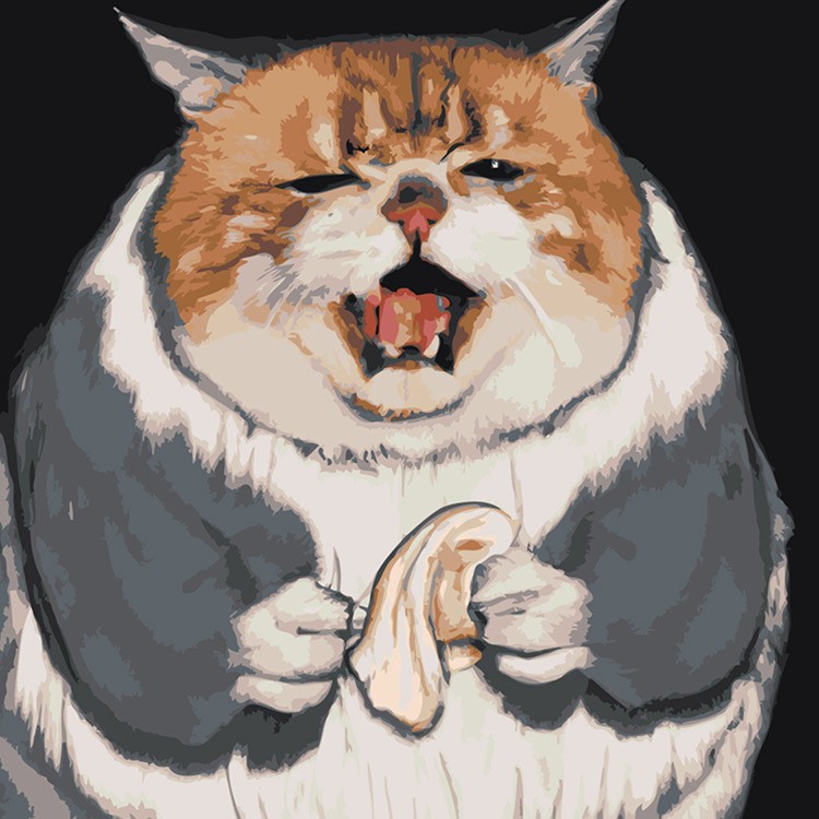 Картина по номерам «Печальный толстый котик»