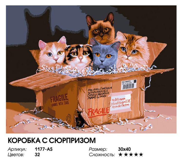 Картина по номерам «Коробка с сюрпризом» — картинка 2