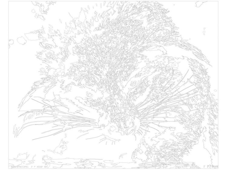 Картина по номерам «Зверь» — картинка 3