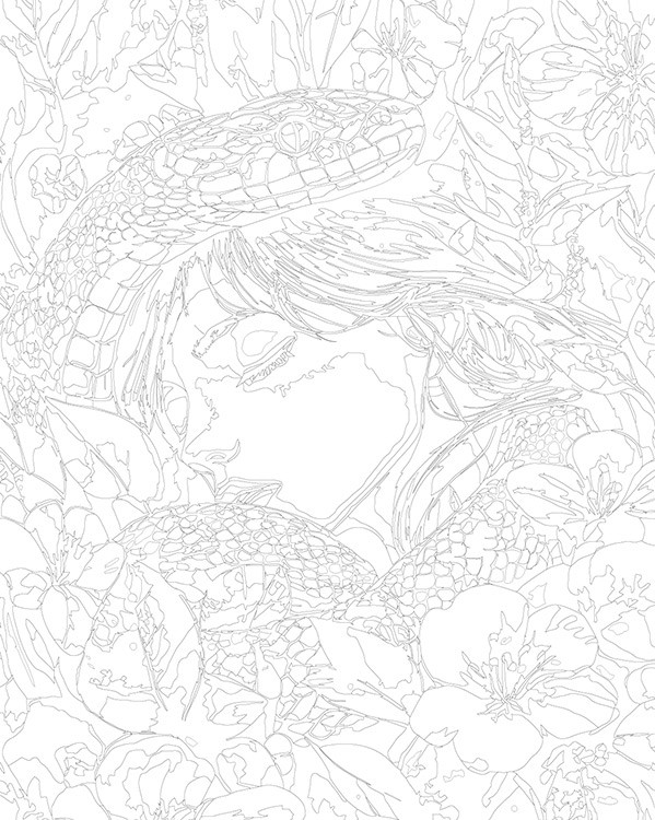 Картина по номерам «Зеленая змея, девушка и цветы Арт 40x50» — картинка 3