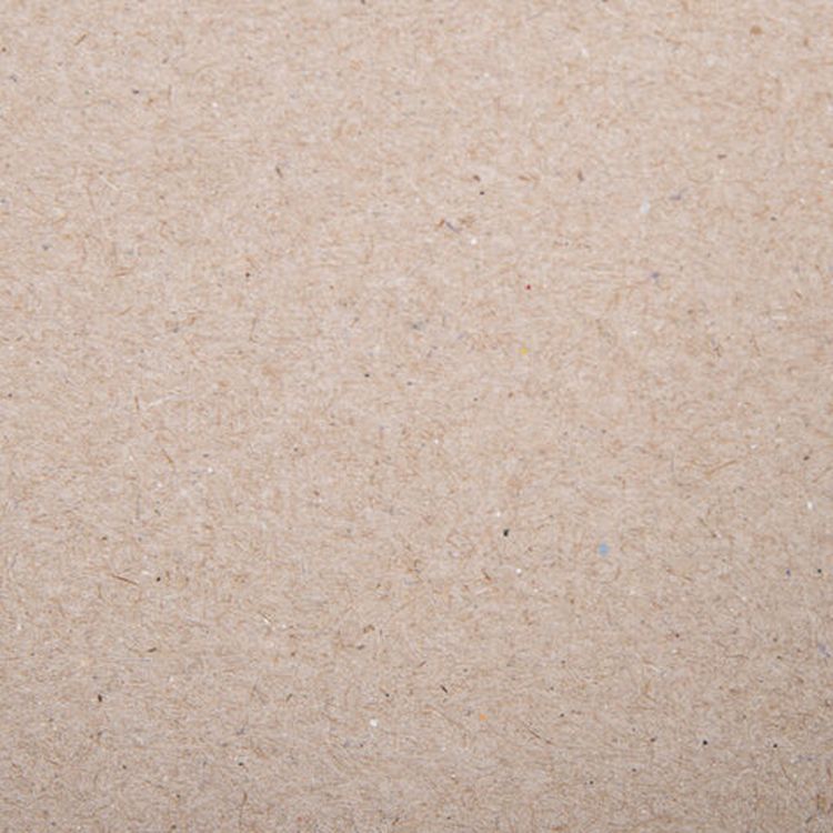 Альбом для пастели, картон цвет: серый, некрашенный, 630 г/м2, 207х297 мм, 10 л., BRAUBERG ART CLASSIC — картинка 6