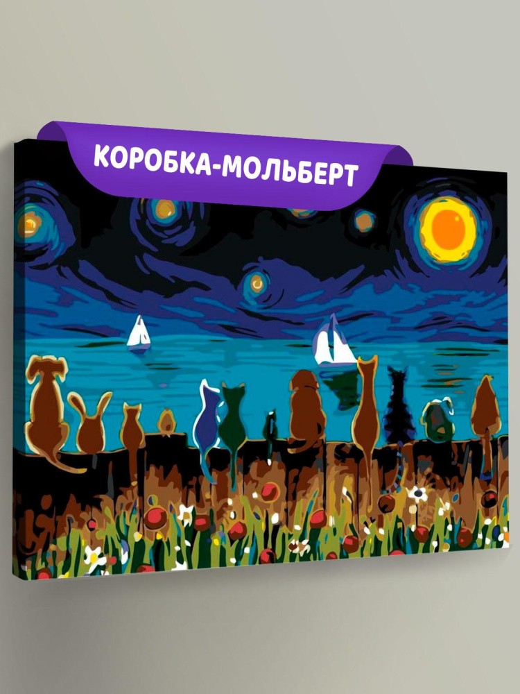 Картина по номерам «Любуясь звёздным небом»