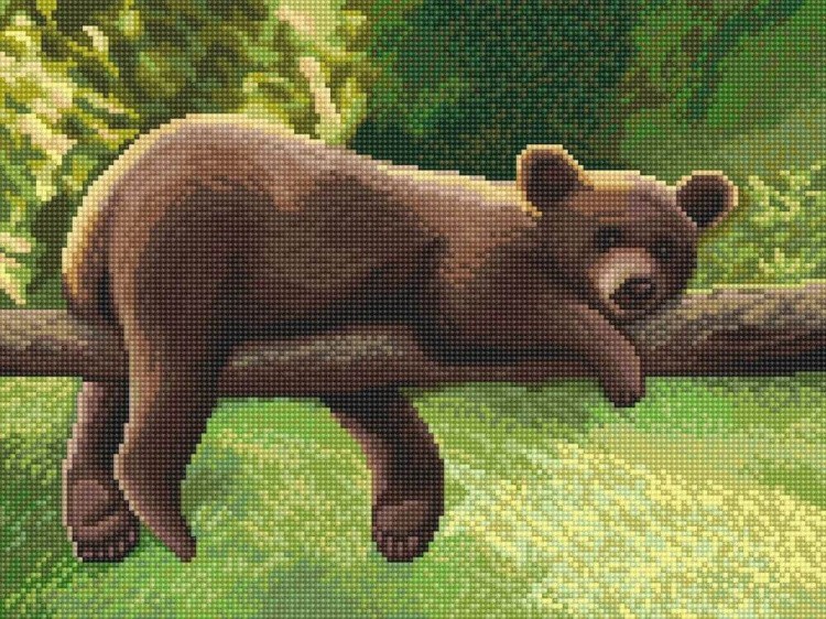 Алмазная вышивка «Ленивый мишка» — картинка 2