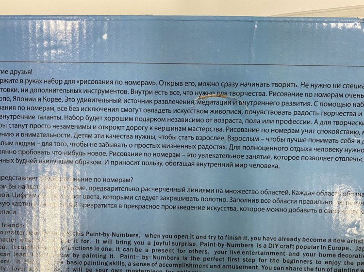 УЦЕНКА. Картина по номерам «Верный друг» (порвана коробка) — картинка 4