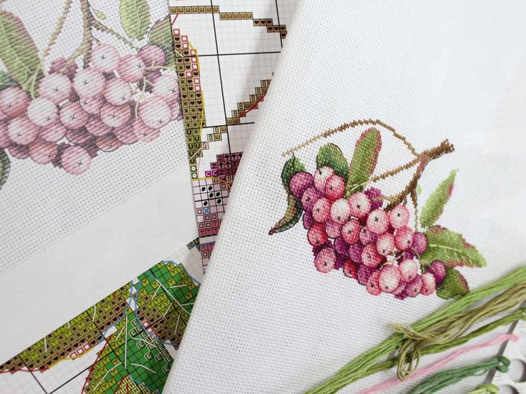 Набор для вышивания «Дары природы. Рябина розовая» — картинка 3