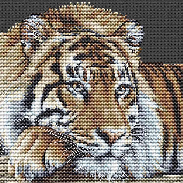 Набор для вышивания «Тигр» — картинка 3