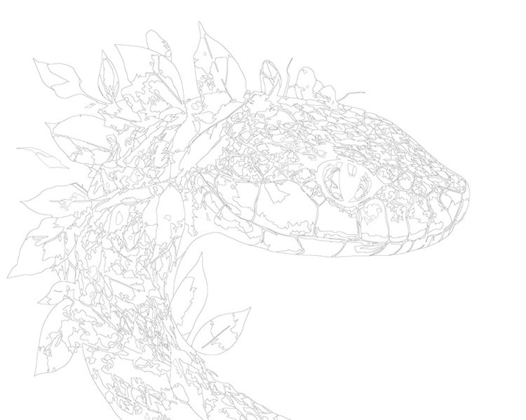 Картина по номерам «Зеленая змея в листьях Арт, Символ года» — картинка 3