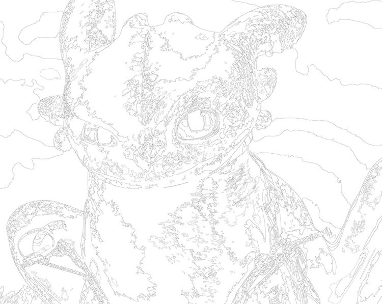 Картина по номерам «Как приручить дракона: Беззубик 40х50» — картинка 3