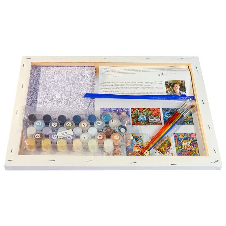 Картина по номерам «Сова в шляпе» — картинка 3