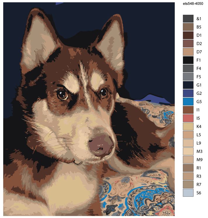 Картина по номерам «Хаски» — картинка 2