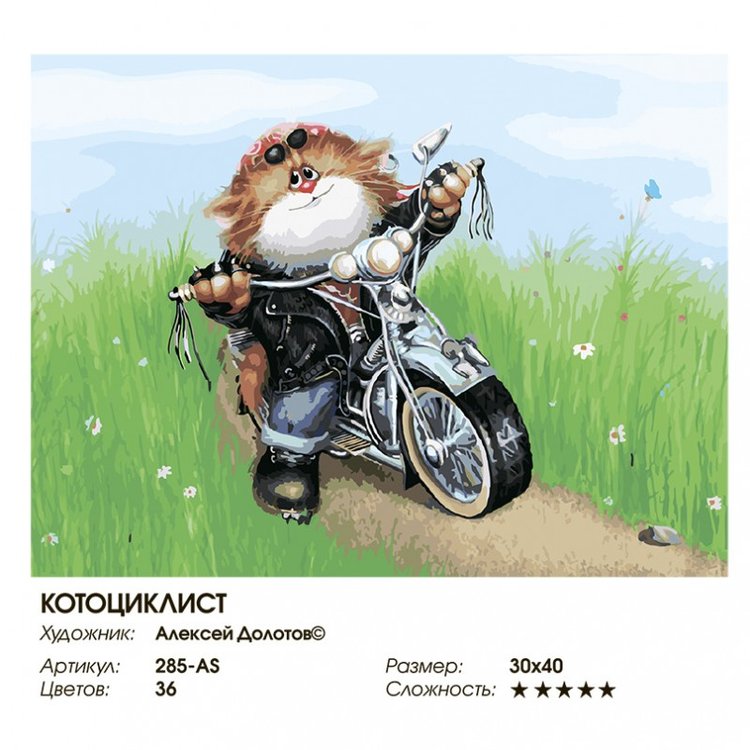 Картина по номерам «Котоциклист» — картинка 2