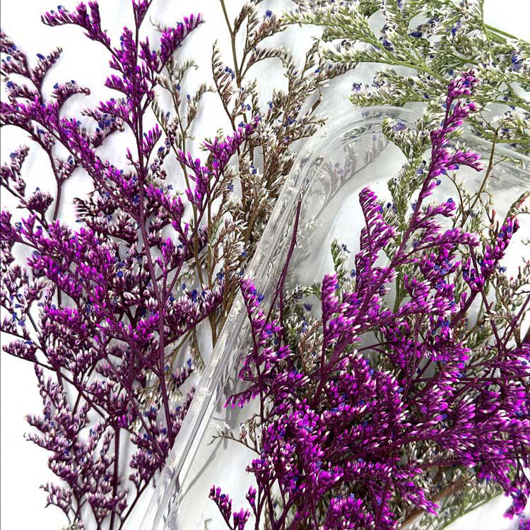 Сухоцветы цветы Танцующее растение, 1 упаковка — картинка 2