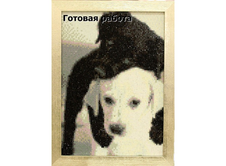 Алмазная вышивка «Черный и белый щенки» — картинка 3
