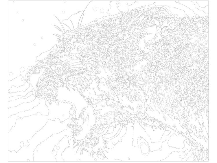 Картина по номерам «Звериный оскал» — картинка 3