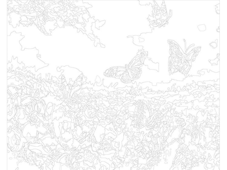 Картина по номерам «Бабочки и цветы» — картинка 3