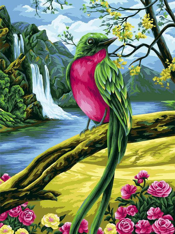 Картина по номерам «Райская птичка»
