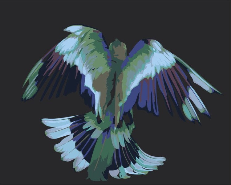 Картина по номерам «Сине-зелёная птица»