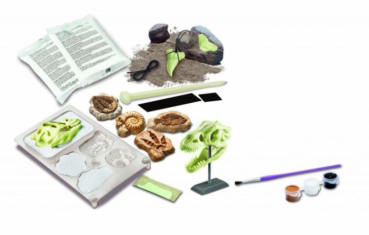 Набор юного палеонтолога «Палеонтологический музей» — картинка 2