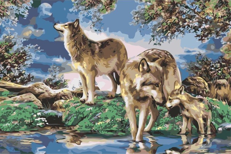 Картина по номерам «Семейство волков»