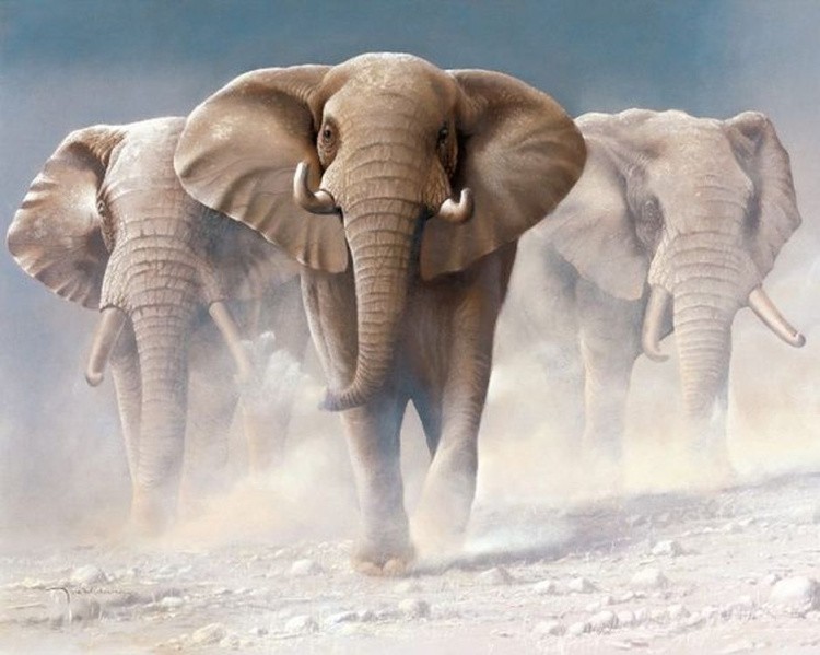 Картина по номерам «Три слона»