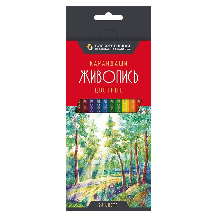 Набор цветных карандашей ВКФ «Живопись», 24 цвета