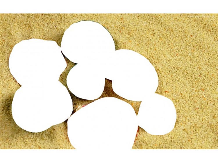 Алмазная вышивка «Цветные ракушки» — картинка 2