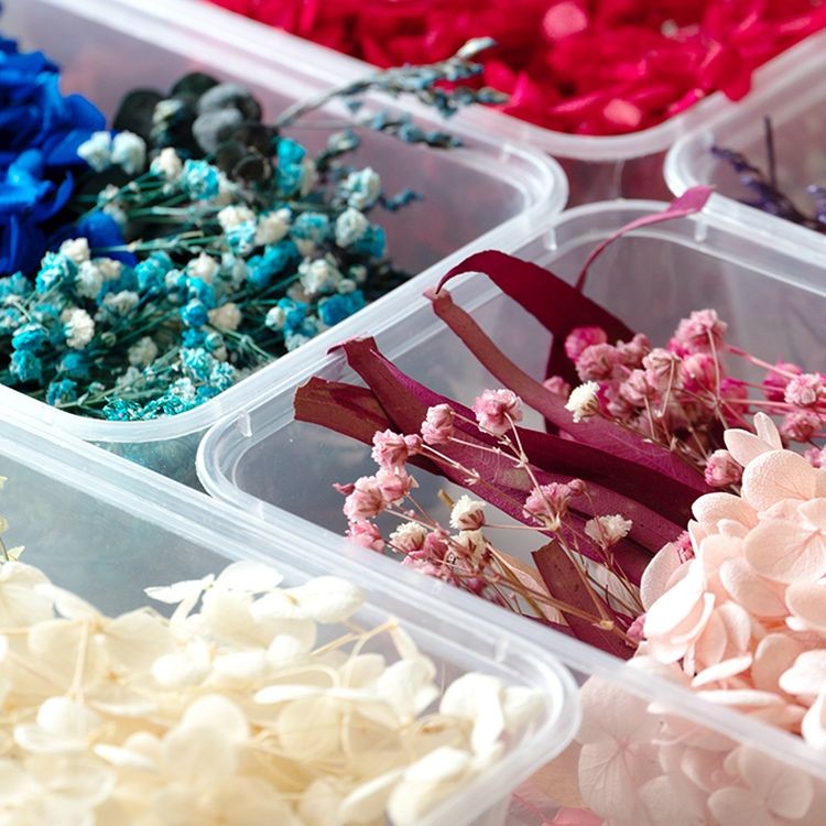 Набор сухоцветов синий, Artline — картинка 4