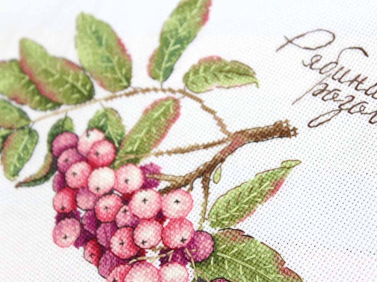 Набор для вышивания «Дары природы. Рябина розовая» — картинка 4