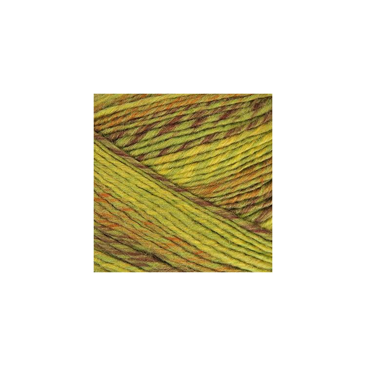 Пряжа Пехорка Ровница Мультиколоровая (1018), горчичный меланж 5 шт. по 200 г — картинка 2