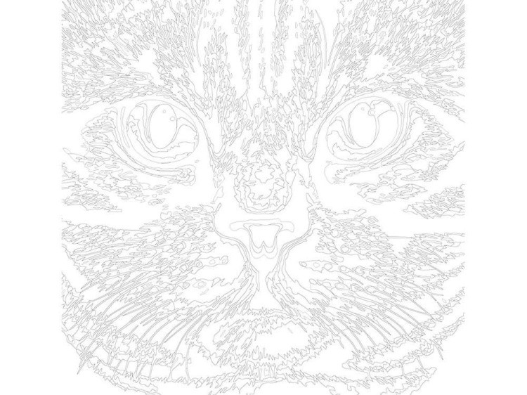 Картина по номерам «Зеленые глаза» — картинка 3