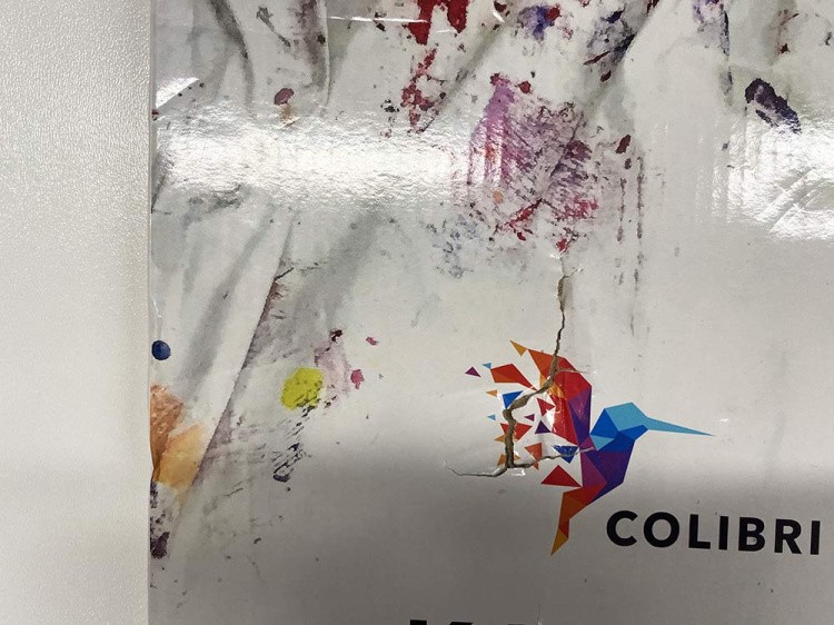 УЦЕНКА. Картина по номерам «Кот в ванне» (порвана коробка) — картинка 3