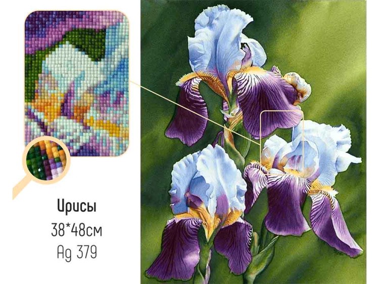 Алмазная вышивка «Ирисы» — картинка 2