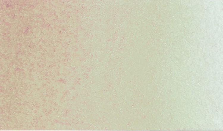 Краска акварель Studio художественная, кювета, 2,5 мл, 12 шт., цвет: 724 слоновая кость, Vista-Artista — картинка 2