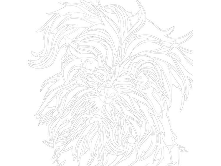 Картина по номерам «Разноцветный йорк» — картинка 3