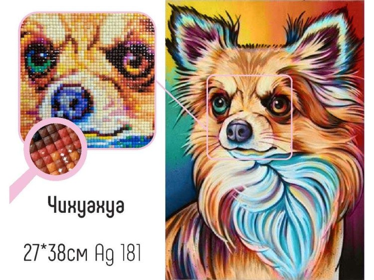 Алмазная вышивка «Чихуахуа» — картинка 2