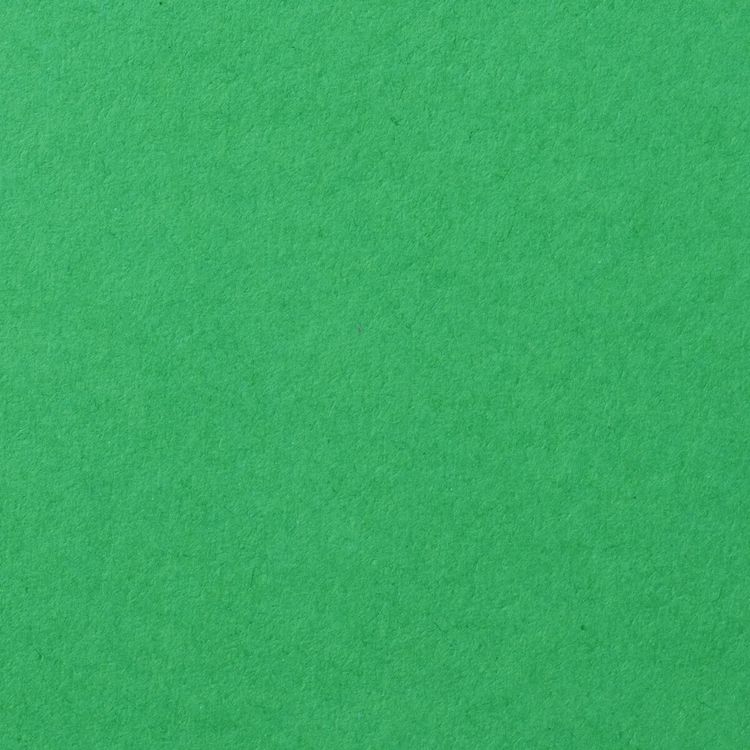 Цветной картон А4 тонированный в массе, 10 листов, зеленый, Остров сокровищ — картинка 3
